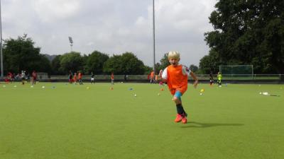 foto-2018-08-21 12-01-59