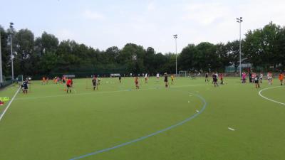 foto-2018-08-21 12-09-09